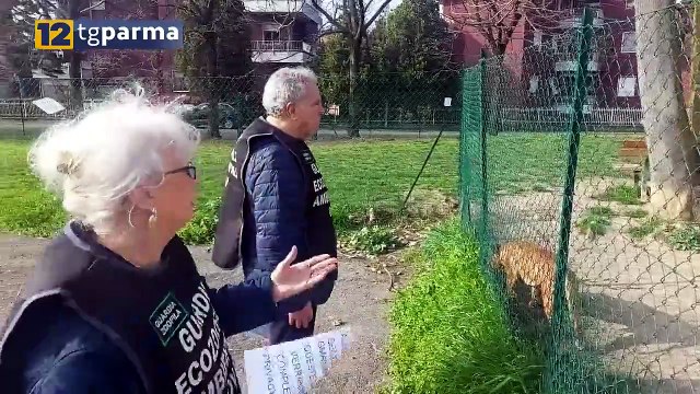 LE GUARDIE ZOOFILE IN PRIMA LINEA PER LA TUTELA DI ANIMALI E AMBIENTE | LE GUARDIE ZOOFILE IN PRIMA LINEA PER LA TUTELA DI ANIMALI E AMBIENTE