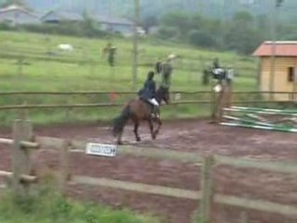 Ingrid cso