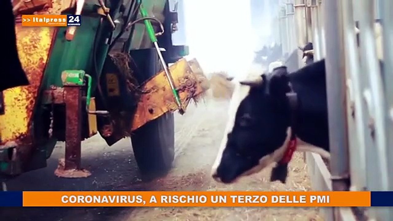 tg economia