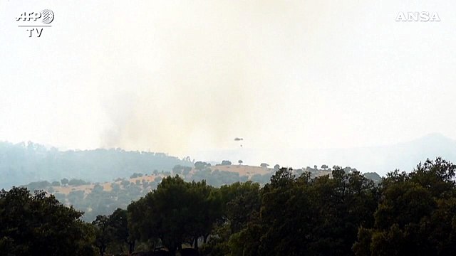 Spagna, gli incendi devastano il sud ovest: 10mila ettari andati in fumo