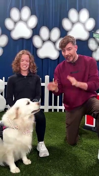 Would Your Dog Pick $10,000 or Steak？