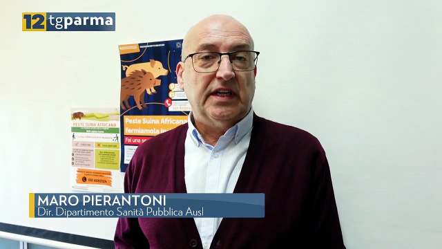 PESTE SUINA, LE AZIONI DELL'AUSL PER CONTENERE I CONTAGI | PESTE SUINA, LE AZIONI DELL'AUSL PER CONTENERE I CONTAGI