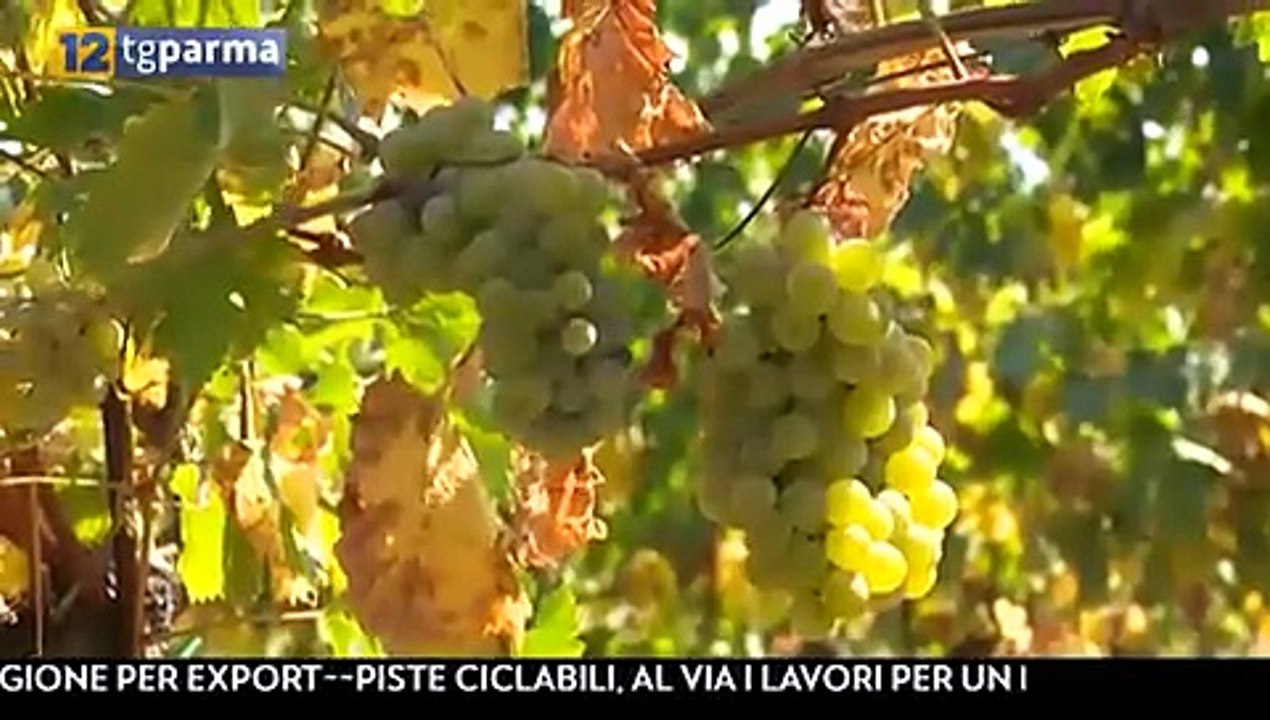 AGROALIMENTARE 27 7 2020