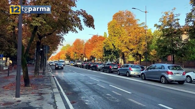 NUOVO CODICE DELLA STRADA TRA CONSENSI E CRITICHE: CONFRONTO A PARMA EUROPA | NUOVO CODICE DELLA STRADA TRA CONSENSI E CRITICHE: CONFRONTO A PARMA EUROPA