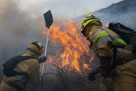 Incendios forestales arrasan miles de hectáreas en España y Francia: evacuaciones masivas y alerta máxima