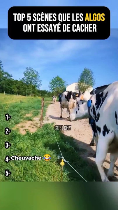 Top 5 Scène que les Algos ont essayé de Cacher Part 25