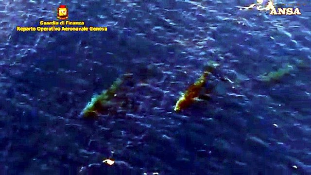 Balene a largo della costa ligure: il video dall'elicottero della Guardia di Finanza