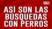 Búsqueda con perros: ¿Por qué no los utilizaron en la desaparicion de Agostina?