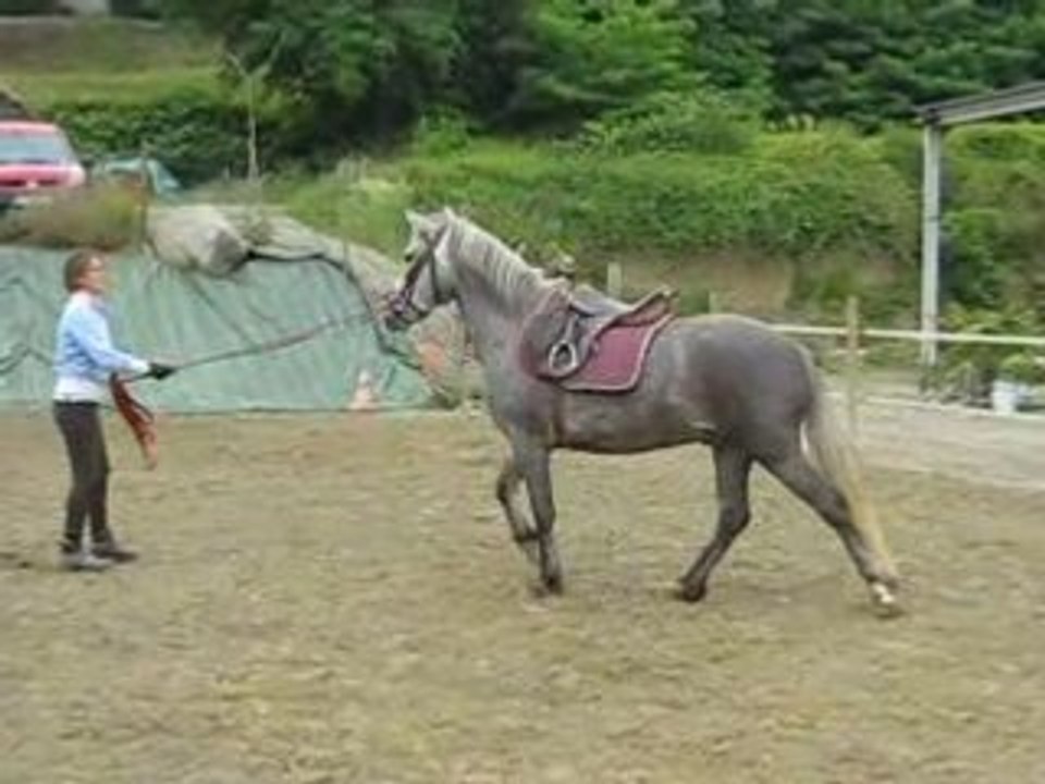 Romeo 2