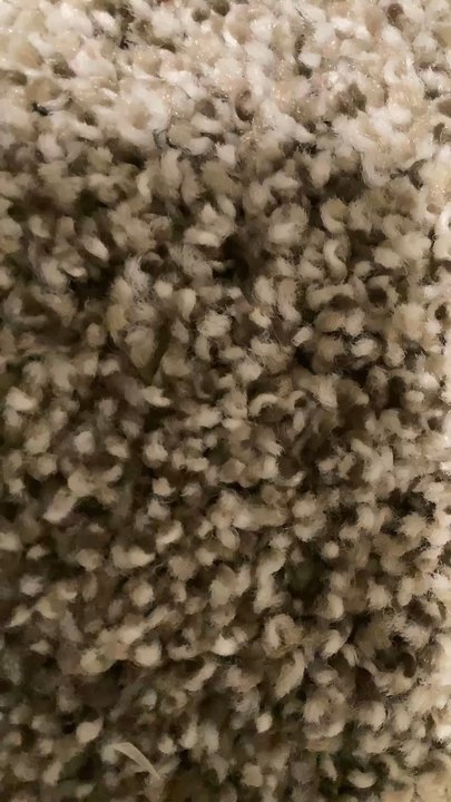 Random things can you guess what this is