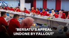 Bersatu’s appeal to professionals, youth undone by fallout, says analyst