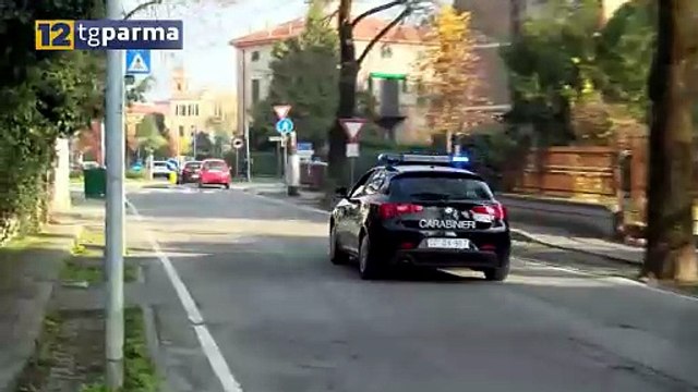 FIDENZA, ARRESTATI DUE PUSHER. SEQUESTRO DI DROGA E PIANTE DI MARIJUANA | FIDENZA, ARRESTATI DUE PUSHER. SEQUESTRO DI DROGA E PIANTE DI MARIJUANA