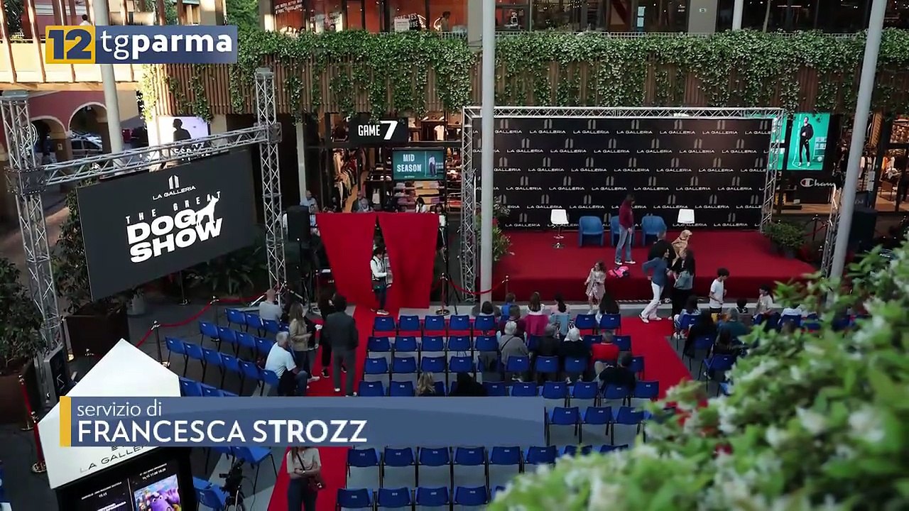 RISATE E DIVERTIMENTO ALLA GALLERIA PER LA PRIMA SERATA DEL "THE GREAT DOG SHOW" | RISATE E DIVERTIMENTO ALLA GALLERIA PER LA PRIMA SERATA DEL "THE GREAT DOG SHOW"