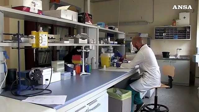 Covid, il virus muta fino a 100 volte meno dell'Hiv