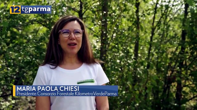 KILOMETROVERDEPARMA, 70 MILA ALBERI MESSI A DIMORA AD OGGI | KILOMETROVERDEPARMA, 70 MILA ALBERI MESSI A DIMORA AD OGGI
