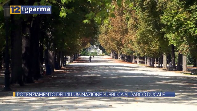 POTENZIAMENTO DELL'ILLUMINAZIONE PUBBLICA AL PARCO DUCALE | POTENZIAMENTO DELL'ILLUMINAZIONE PUBBLICA AL PARCO DUCALE