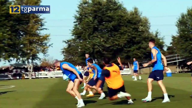 PARMA, PECCHIA: MERCATO? NESSUNA RIVOLUZIONE MA INNESTI MIRATI | PARMA, PECCHIA: MERCATO? NESSUNA RIVOLUZIONE MA INNESTI MIRATI
