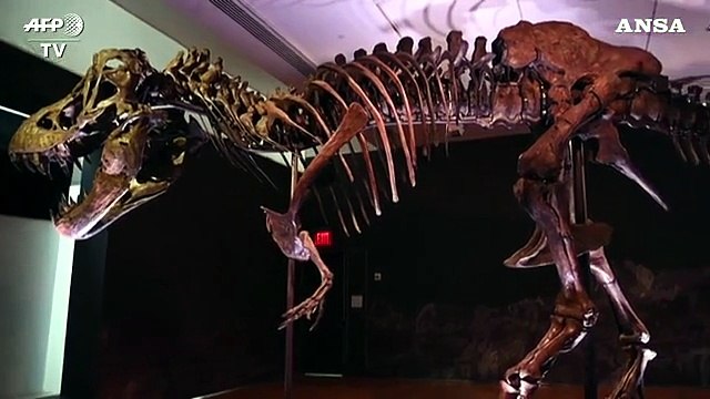 All'asta Christie's uno dei piu' completi scheletri di T-Rex mai trovati