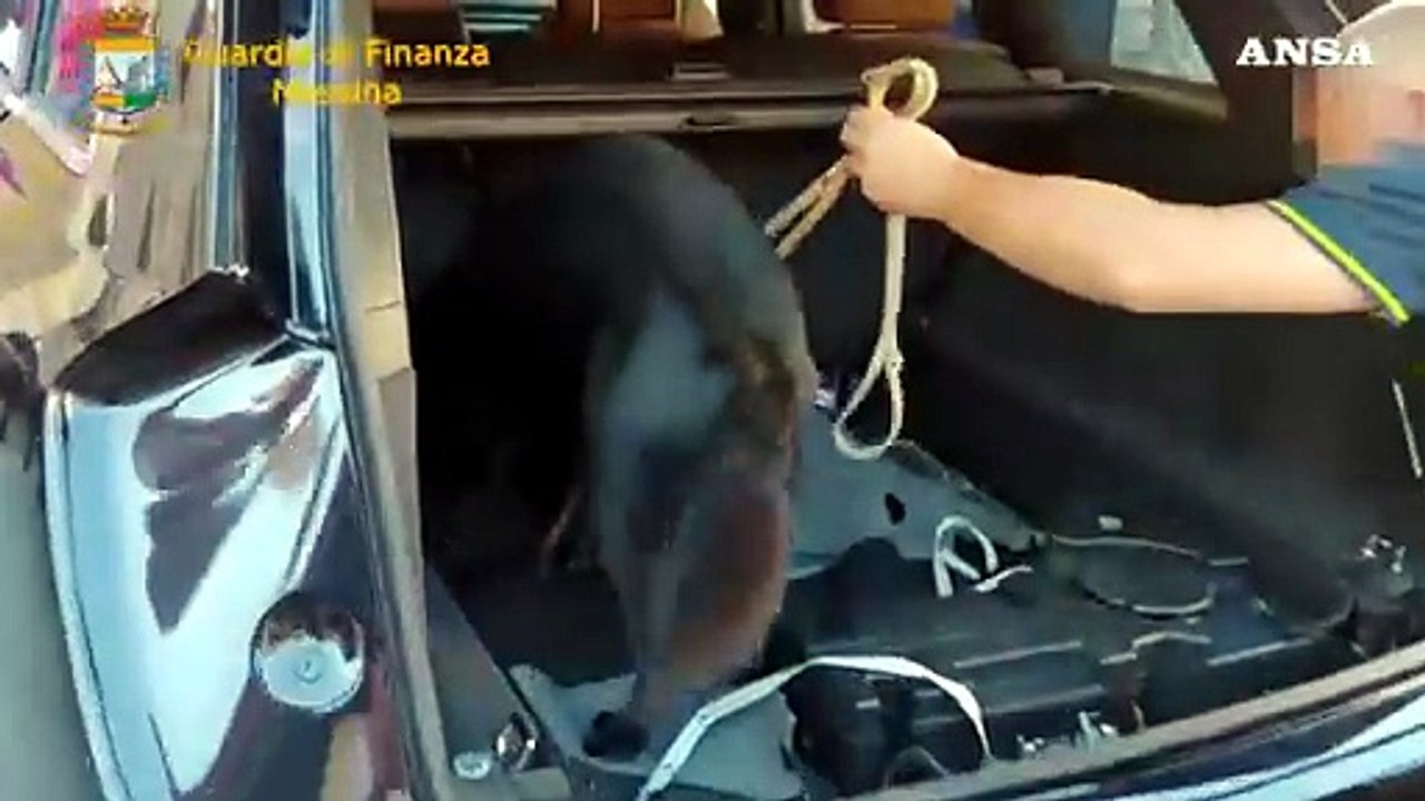 Messina, sequestrati 20 chili di coca nascosti nel doppiofondo di un'auto