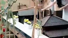 Seeds Of Love, Sunlit Days - Full