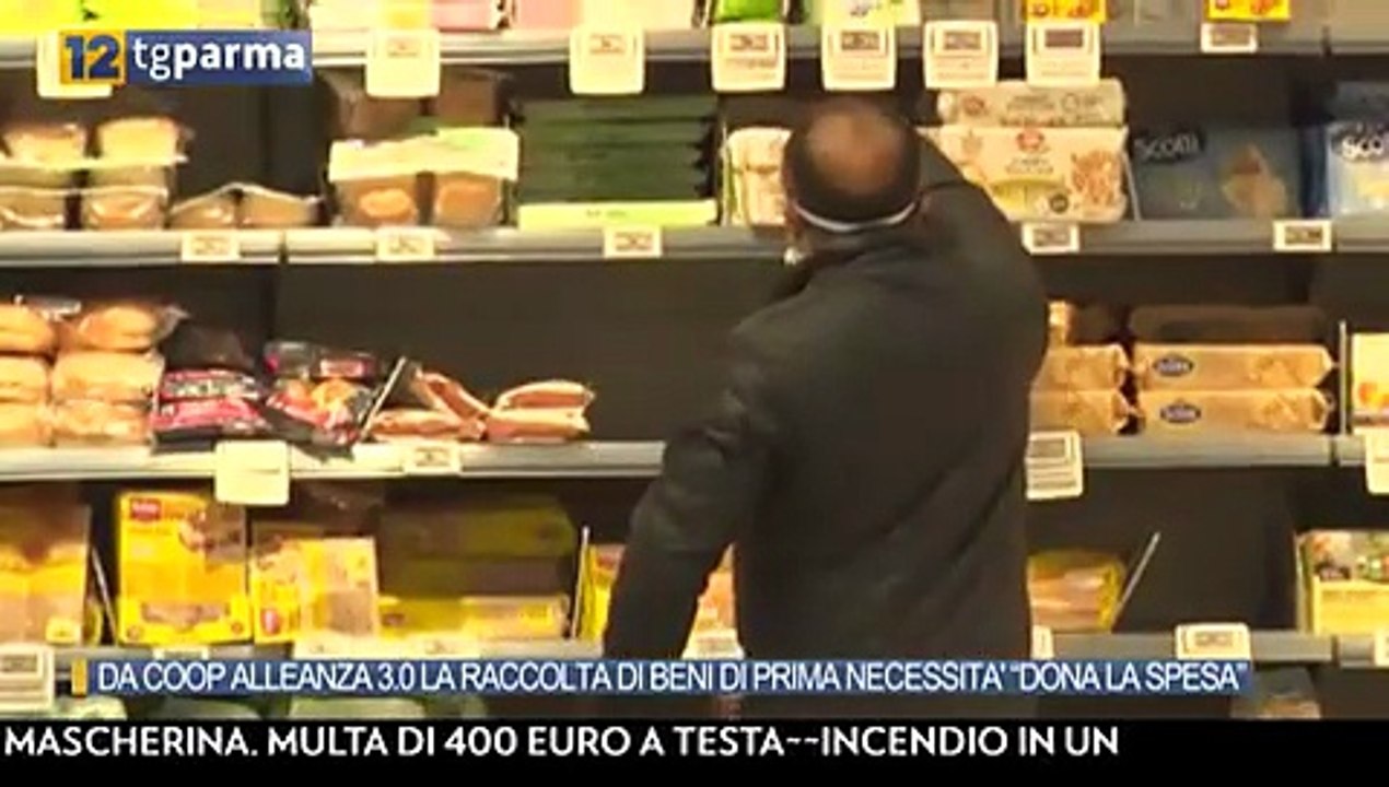 video raccolta cibo