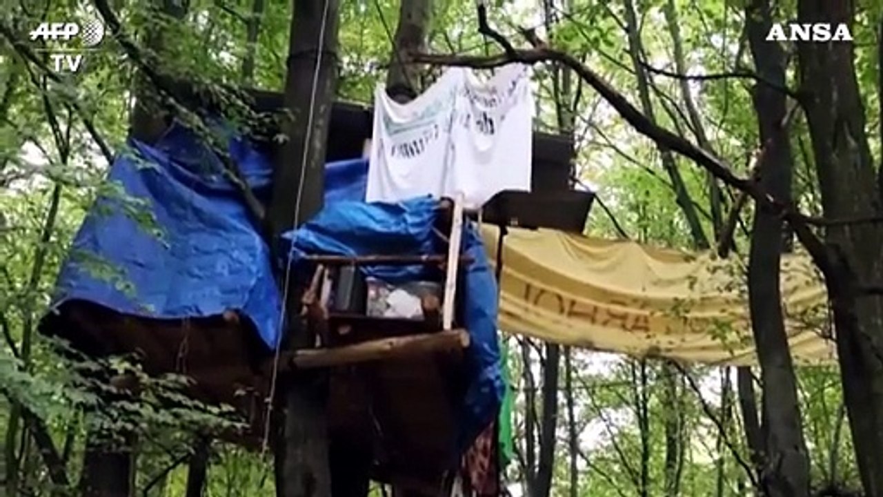 Carola Rackete, dal salvataggio dei migranti alla difesa della foresta