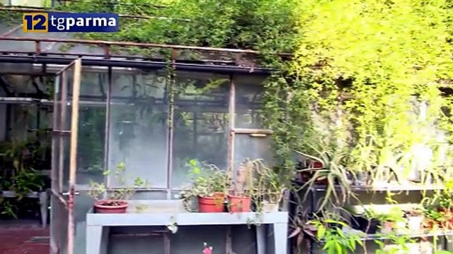 ORTO BOTANICO, INIZIATI I LAVORI DI RESTAURO EDILIZIO | ORTO BOTANICO, INIZIATI I LAVORI DI RESTAURO EDILIZIO