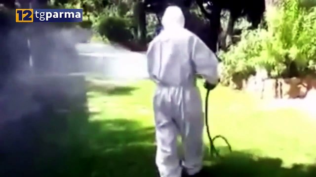WEST NILE: CATTURATE A COLLECCHIO ZANZARE INFETTE, SCATTATE LE MISURE DI CONTRASTO | WEST NILE: CATTURATE A COLLECCHIO ZANZARE INFETTE, SCATTATE LE MISURE DI CONTRASTO