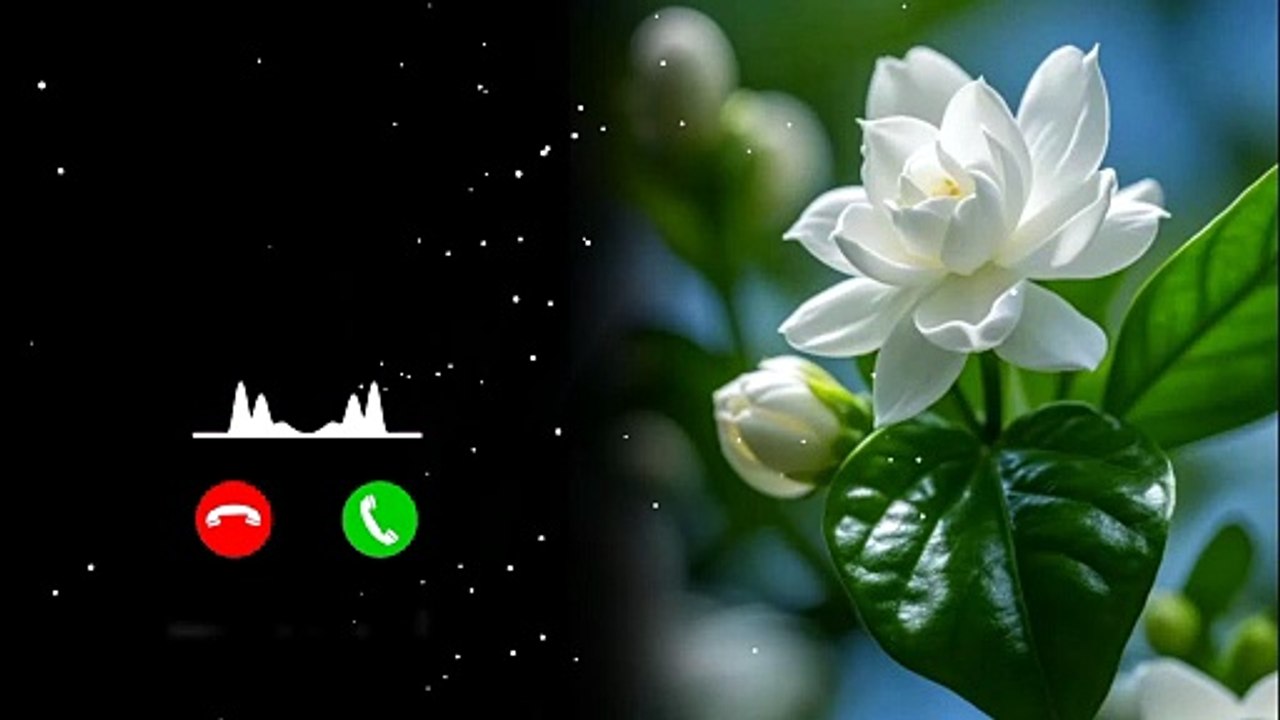New Ringtone Mp3 Ringtone Hindi Ringtone caller tune romantic ringtone