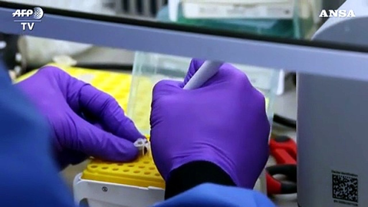Covid, buoni progressi per il vaccino Oxford/Irbm: efficace sugli anziani
