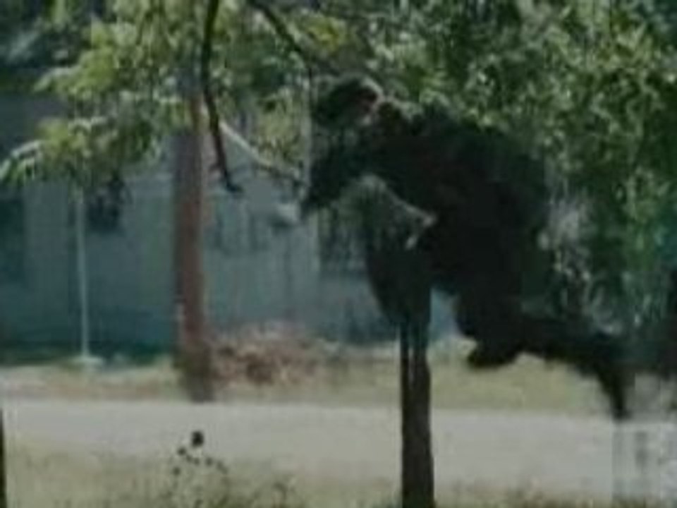 Stop Loss - Trailer