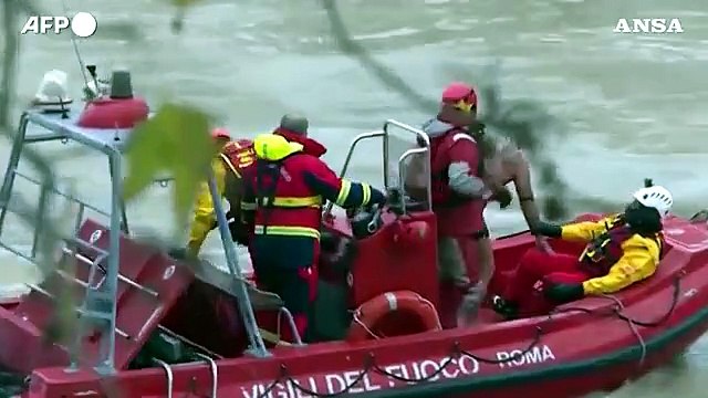 Roma, tuffo di Capodanno nel Tevere: E' dedicato a chi non c'e' piu'
