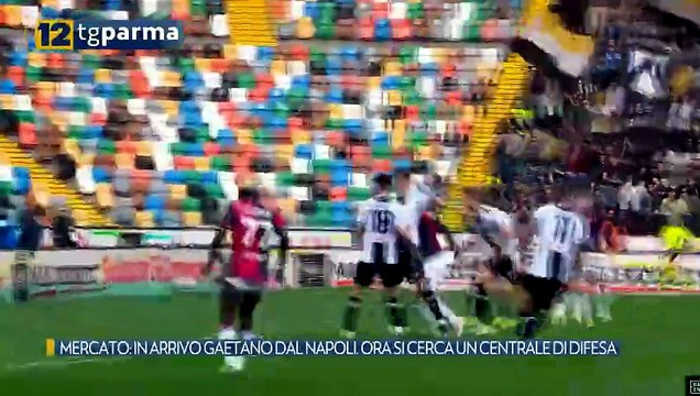 MERCATO: IN ARRIVO GAETANO DAL NAPOLI. ORA SI CERCA UN CENTRALE DI DIFESA | MERCATO: IN ARRIVO GAETANO DAL NAPOLI. ORA SI CERCA UN CENTRALE DI DIFESA