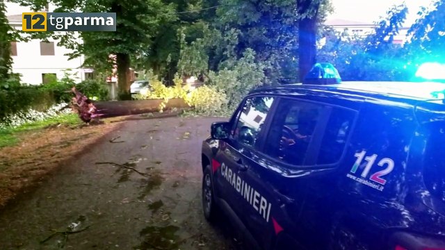 VENTO E PIOGGIA: ANCORA DANNI A PARMA E NELLA BASSA | VENTO E PIOGGIA: ANCORA DANNI A PARMA E NELLA BASSA