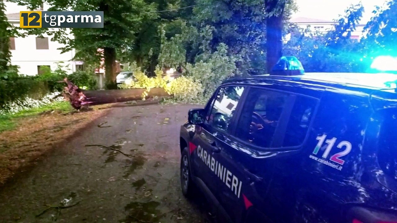 VENTO E PIOGGIA: ANCORA DANNI A PARMA E NELLA BASSA | VENTO E PIOGGIA: ANCORA DANNI A PARMA E NELLA BASSA