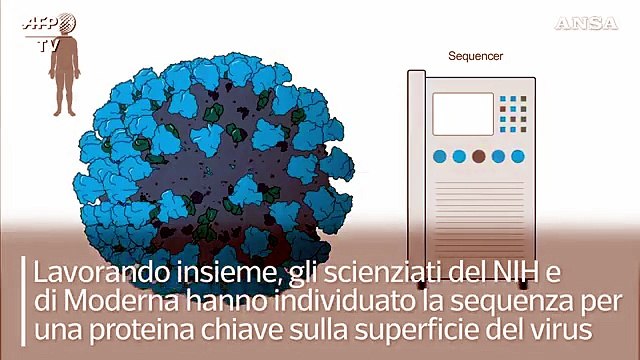 Covid, come funziona il vaccino di Moderna