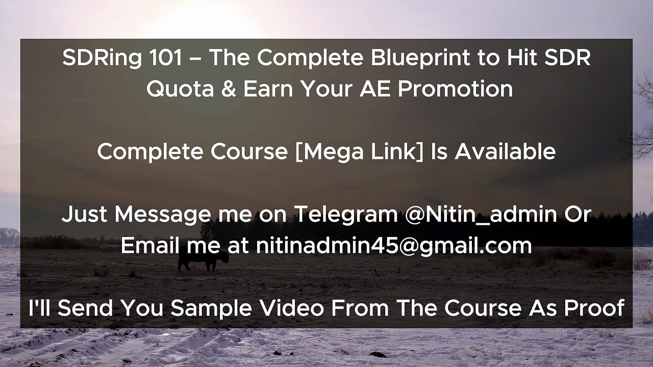 SDRing 101 – The Complete Blueprint to Hit SDR Quota & Earn Your AE Promotion