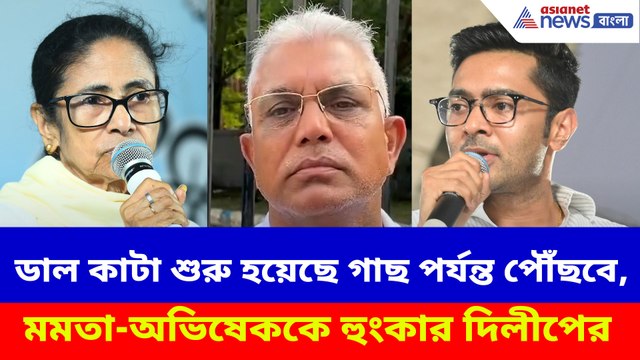 'ডাল কাটা শুরু হয়েছে গাছ পর্যন্ত পৌঁছবে', মমতা-অভিষেককে হুংকার দিলীপের