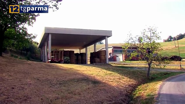 SPIGHE VERDI 2024 : RICONOSCIMENTO AL COMUNE DI PARMA | SPIGHE VERDI 2024 : RICONOSCIMENTO AL COMUNE DI PARMA