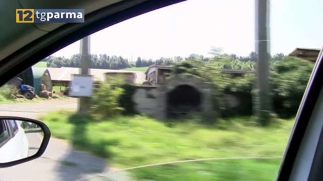 GAIANO, GRAVISSIMO ALLEVATORE FERITO DA UN TORO | GAIANO, GRAVISSIMO ALLEVATORE FERITO DA UN TORO