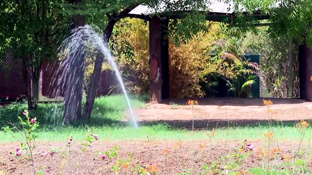 #GUJARAT #GANDHINAGAR INDRODA NATURE PARK CREATES COOLING SHIELD FOR WILDLIFE