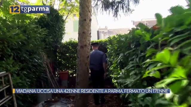 VIADANA: UCCISA UNA 42ENNE RESIDENTE A PARMA, FERMATO UN 17ENNE | VIADANA: UCCISA UNA 42ENNE RESIDENTE A PARMA, FERMATO UN 17ENNE