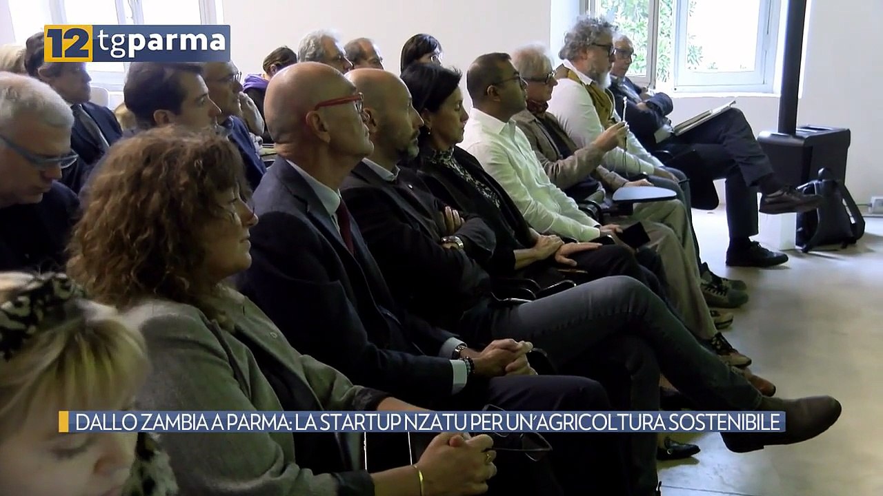 DALLO ZAMBIA A PARMA: LA STARTUP NZATU PER UN'A...