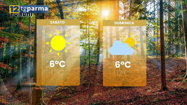 12 TV PARMA, ALLE 22,05 DEBUTTA PASSIONE FUNGHI | 12 TV PARMA, ALLE 22,05 DEBUTTA PASSIONE FUNGHI