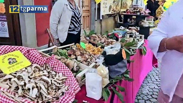 A BORGOTARO LA SECONDA GIORNATA DELLA FIERA DEL FUNGO | A BORGOTARO LA SECONDA GIORNATA DELLA FIERA DEL FUNGO