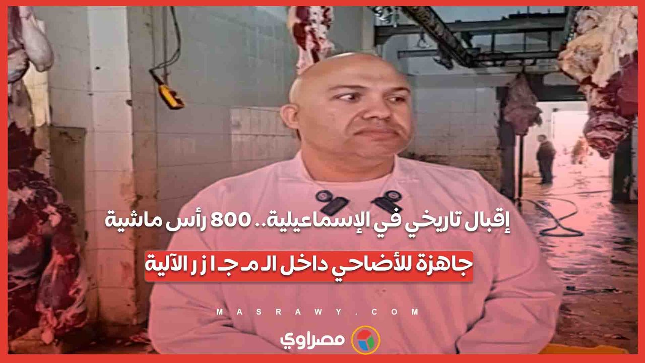 إقبال تاريخي في الإسماعيلية.. 800 رأس ماشية جاهزة للأضاحي داخل الـ مـ جـ ا ز ر الآلية