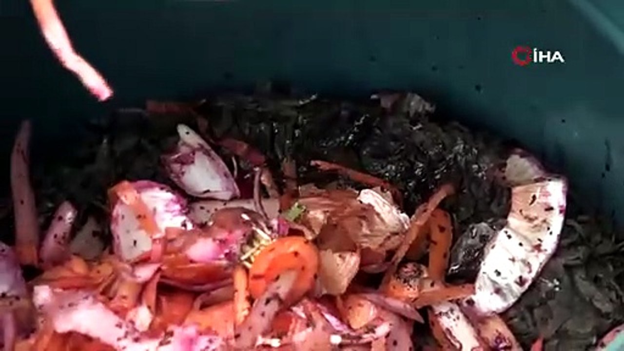 Japonya’nın "Bokaşi"si liseye ilham oldu; turşu suyu ve organik atıkla sıvı gübre ürettiler