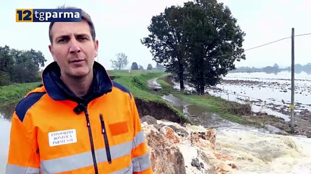 DANNI DA MALTEMPO: IN CAMPO IL CONSORZIO DELLA BONIFCA PARMENSE | DANNI DA MALTEMPO: IN CAMPO IL CONSORZIO DELLA BONIFCA PARMENSE