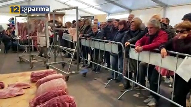 NOVEMBER PORC, GIOVEDÌ IL VIA DELLA PRIMA TAPPA A SISSA | NOVEMBER PORC, GIOVEDÌ IL VIA DELLA PRIMA TAPPA A SISSA