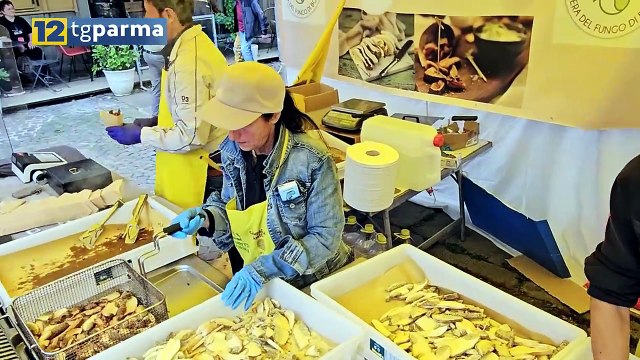 A BORGOTARO LA NUOVA EDIZIONE DELLA FIERA DEL FUNGO | A BORGOTARO LA NUOVA EDIZIONE DELLA FIERA DEL FUNGO